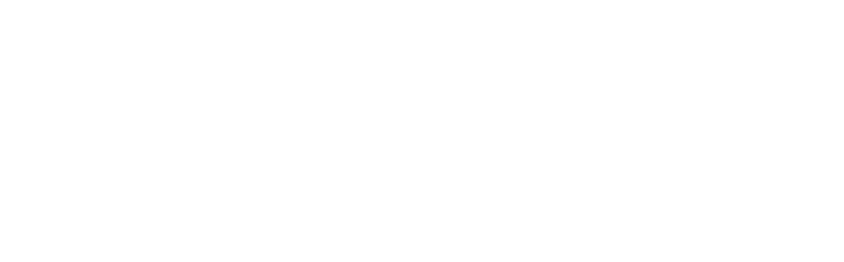 Maestro logo